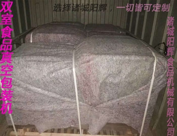 汕頭四臺真空包裝機